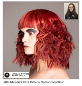 aveda minneapolis beauty school